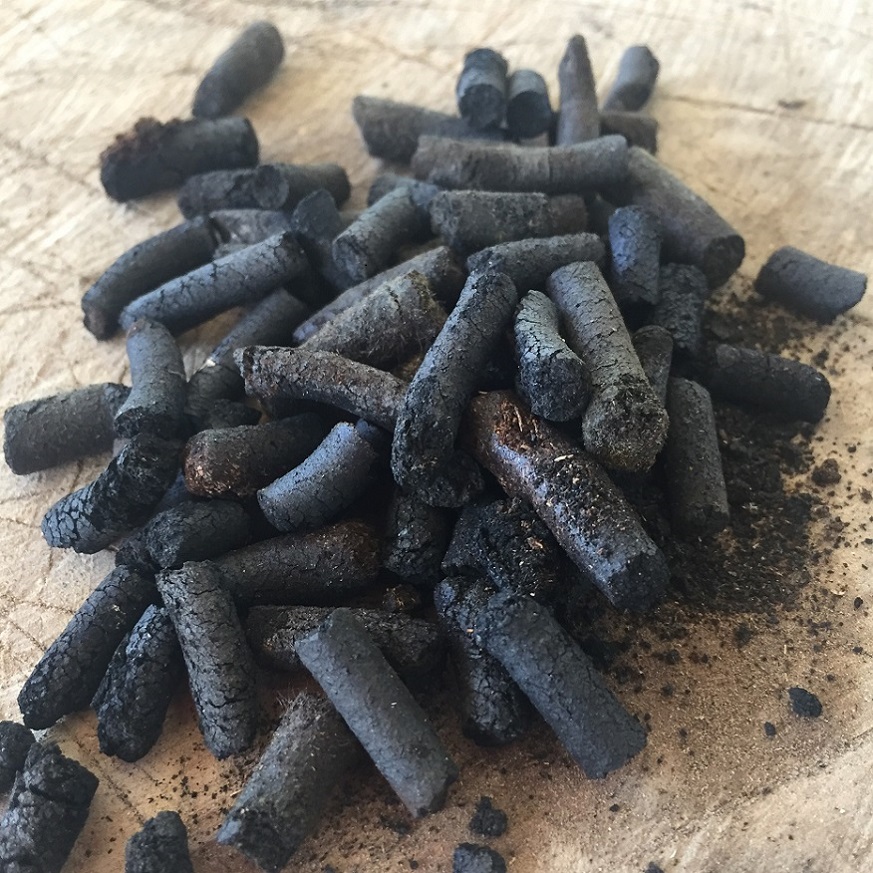 biochar di caffè gedap